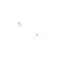 ترند